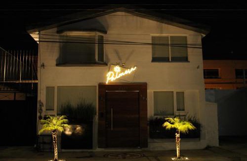 Puebla House | Casa palmera
