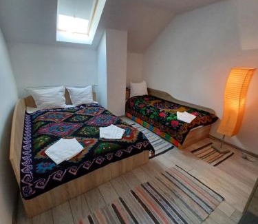 Cartisoara House | Casa Pandrea