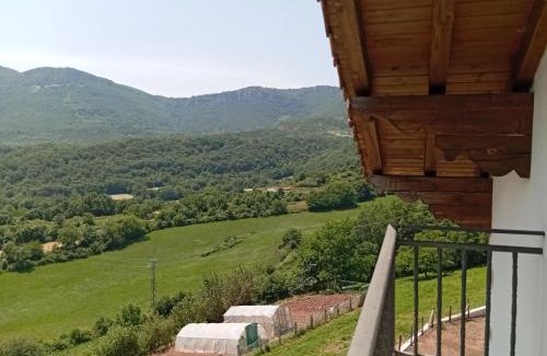 Arce House | Casa Parriola etxea