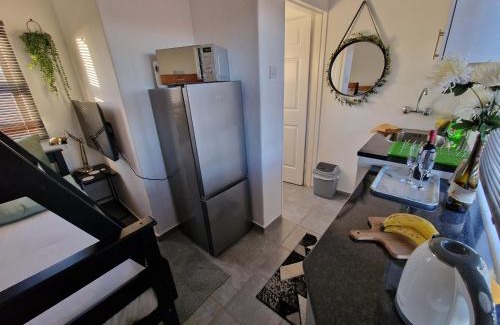 Central House | Casa-Pel Tiny House