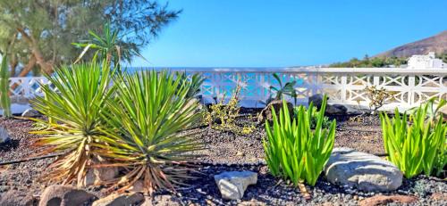 Esquinzo Apartment | Casa Perrito Gris