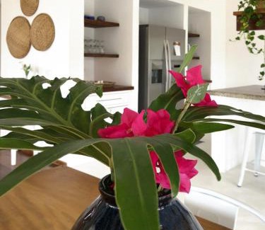 Barra Velha House | CASA PIÚVA