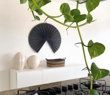 Barra Velha House | CASA PIÚVA