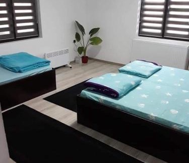 Eremitu House | Casa PICY Vendégház