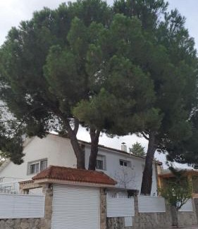 Mostoles House | Casa Pinares