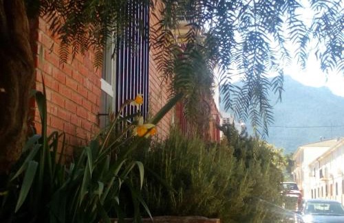 Siles House | Casa Pinos