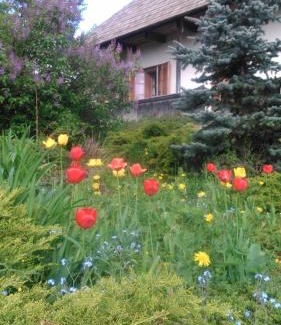 Manastirea Humorului House | Casa Pintea - Bucovina