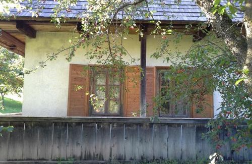 Manastirea Humorului House | Casa Pintea - Bucovina