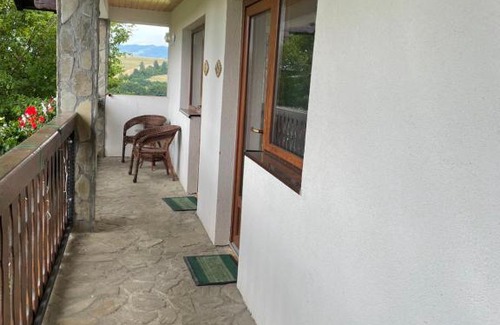 Vladeni House | Casa Piscul verde Vladeni