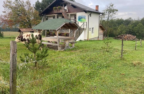 Vladeni House | Casa Piscul Verde Vladeni