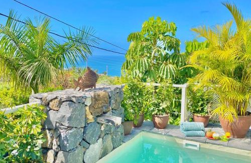 La Orotava House | Casa Plumeria, a Private paradise with Pool.