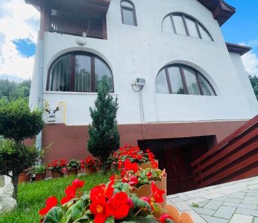 Covasna House | Casa POTE