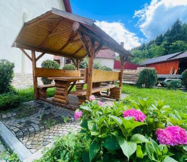 Covasna House | Casa POTE