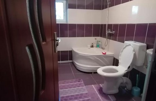 Vulcan House | Casa privată aproape de straja si pasul vâlcan