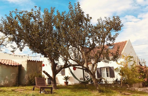 Lourinha House | Casa Cao Verde Peaceful Country Retreat with Garden BBQ and Sea Nearby
