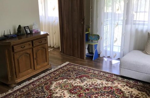 Viseu de Jos House | Casa Pui de Morosan