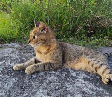 Punta Chame House | Casa Punta Chame