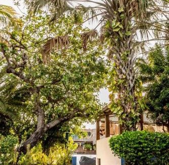 Puerto Quetzal House | Casa Quilo Paraiso Privado Incluye ida al mar