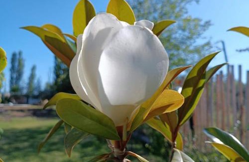 Maipu Apartment | Casa Quinta con Piscina Maipu Mza