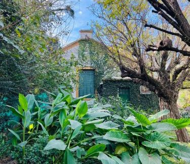 San Pedro House | Casa Quinta Villa Anita