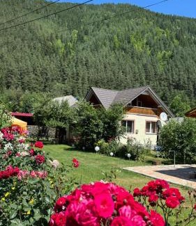 Bicaz-Chei House | Casa Raluca