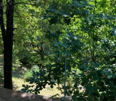 Arcos de Valdevez Resort | CASA RIO VEZ - Riverfront