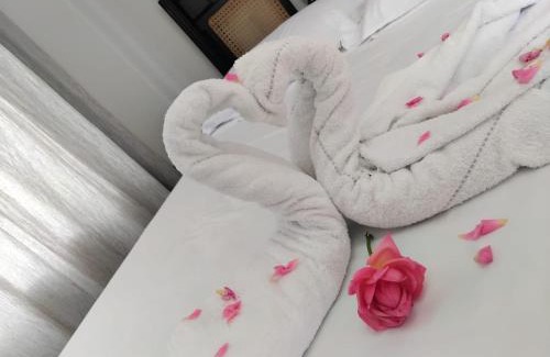 Brasilia Hotel | Casa Roar - Hospedagem