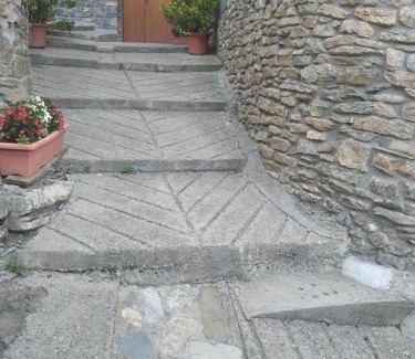 Sort House | Casa Rogel