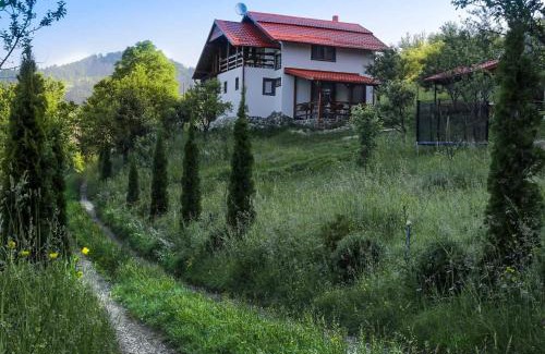 Viseu de Sus House | Casa Roman