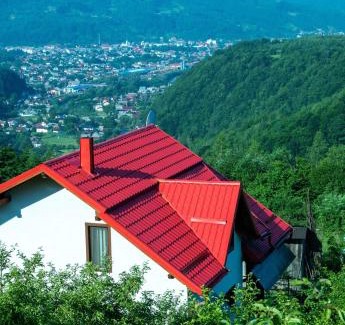 Viseu de Sus House | Casa Roman