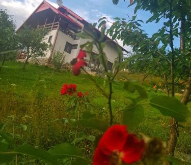 Viseu de Sus House | Casa Roman