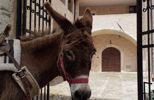 Tione degli Abruzzi Apartment | Casa Rondinella: Cozy apartment in an 18th century palazzo