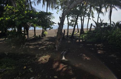 Tortuguero Apartment | Casa Rosa - Beach Front