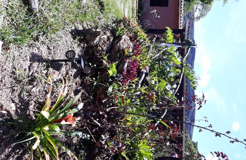 Vale do Capao House | Casa Rosa in Capão Valley