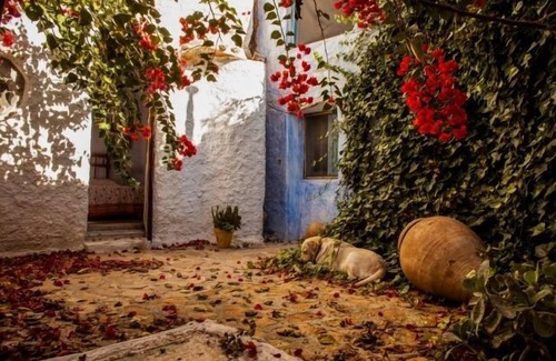 Huercal-Overa Cottage | Casa Rural Aloe Vera for 6 people