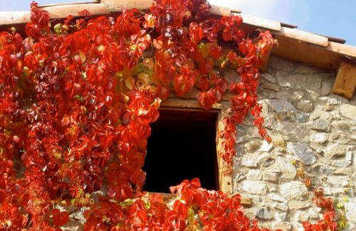 Lles House | Casa rural calRei