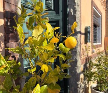 Yeste Apartment | Casa Rural con encanto Señorio Manchego ALBACETE