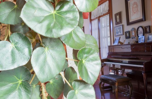 Teror House | Casa Rural Doña Margarita