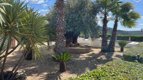 Villanueva de Algaidas Villa | Casa rural premium para familias con piscina