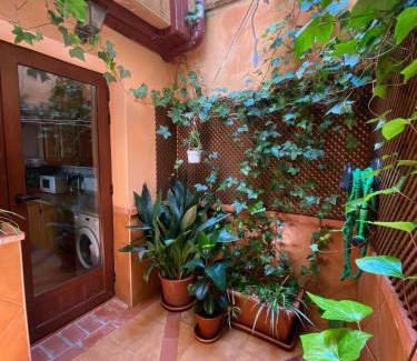 Guadalupe Apartment | Casa Rural Fray Eloy