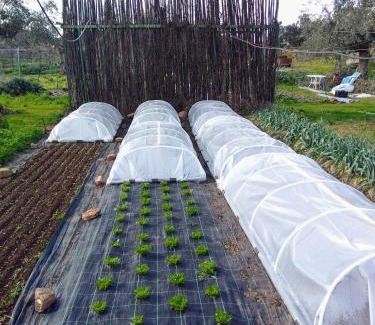 La Codosera House | Casa rural Las Huertas del Abrilongo