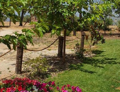 Candeleda House | casa Rural Las Traviesas