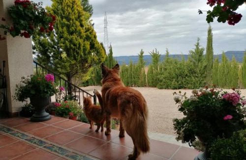 Jarafuel Bed & Breakfast | Casa Rural Los Gitanos