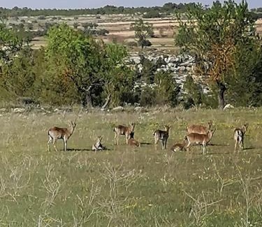 Jarafuel Bed & Breakfast | Casa Rural Los Gitanos