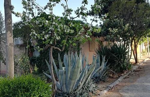 Valmuel House | Casa Rural Los Pinos