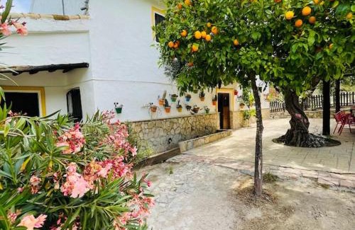 Pruna House | Casa Rural Privada Belén