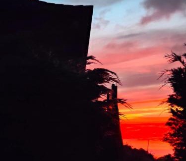 Tigalate House | Casa Rural Quinta Los Naranjos
