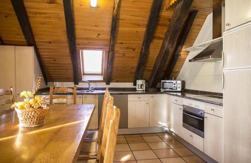Villanueva de Aezcoa House | Casa rural Txikirrin II - Selva de Irati