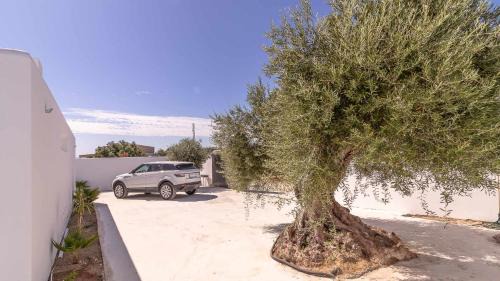 Marchena Villa | Casa Rural Villa M&J