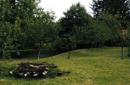 Campina House | Casa rurala cu livada si padurice